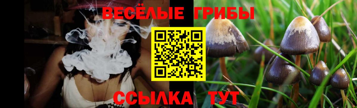 Тельмана  Галлюциногенные грибы мухоморы  Вход с VPN 